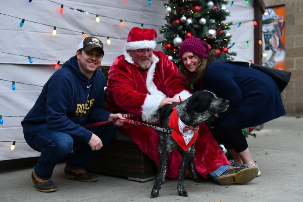High five from a Boston terrier in holiday lights