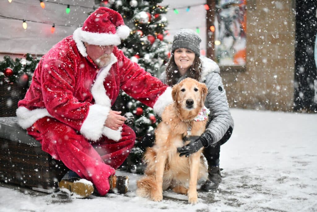 A pit mix grins next to Santa
