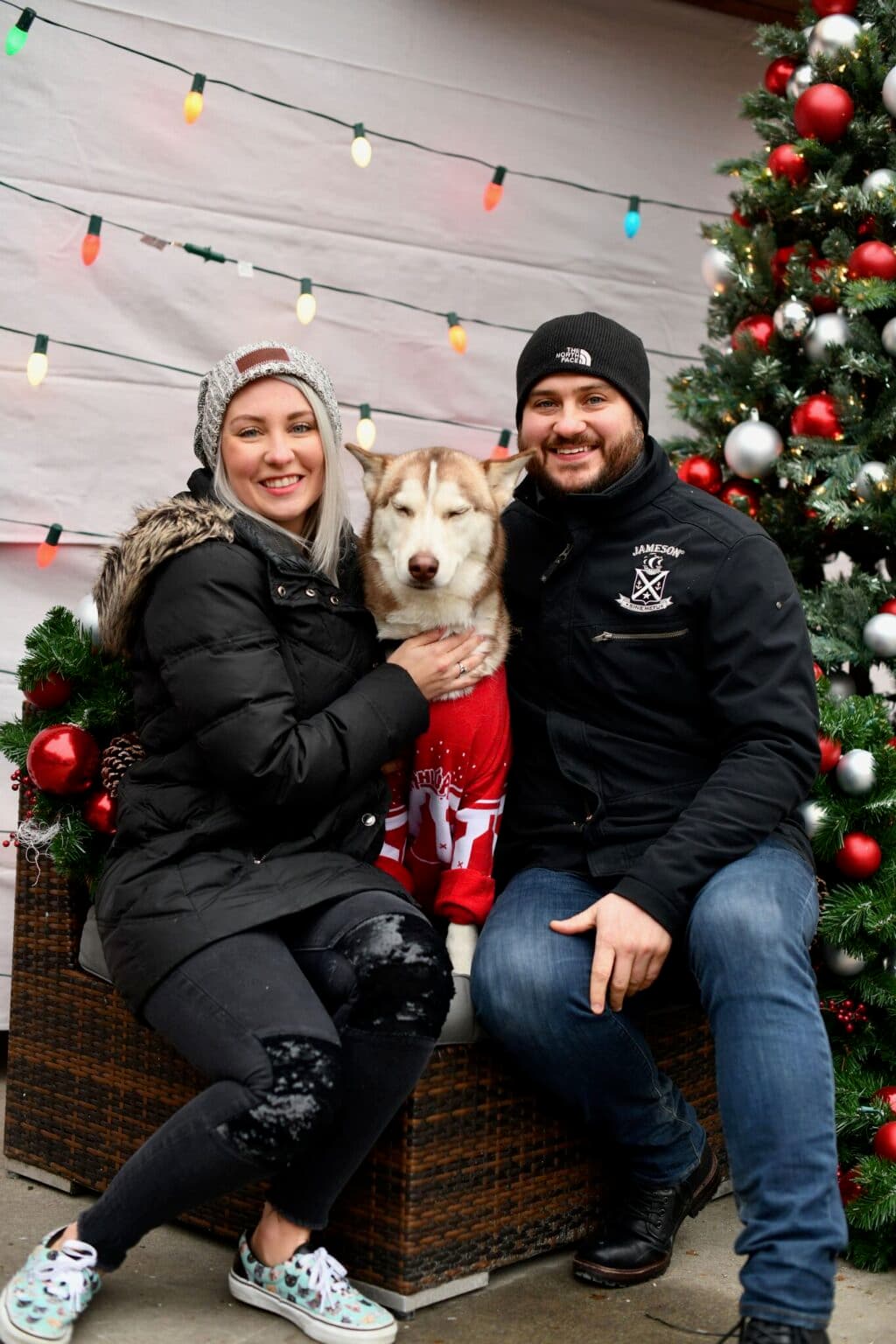 Family photo — husky in a holiday sweater