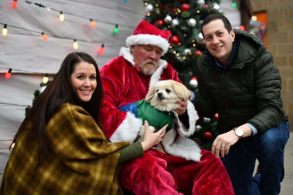 Small dog, big Santa energy